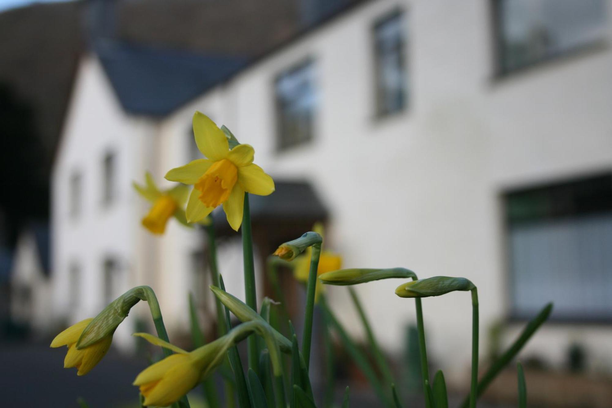 Padarn Apartment At Glanybala Holidays Llanberis Exteriör bild