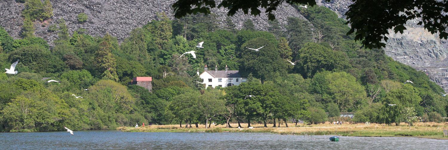 Padarn Apartment At Glanybala Holidays Llanberis Exteriör bild
